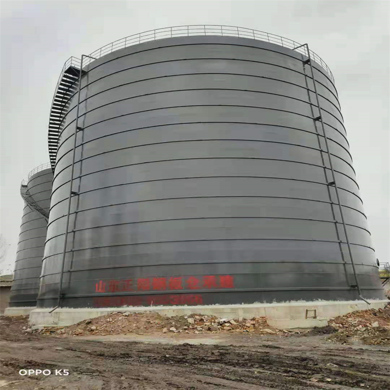 新龙3万吨大型钢板库