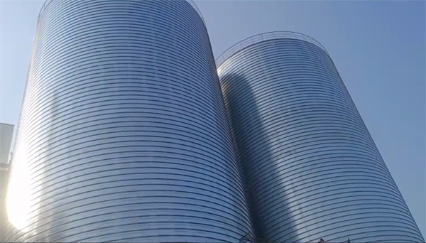 新龙2座混凝土高架卷板仓